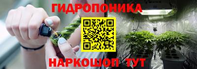 винт Краснодар