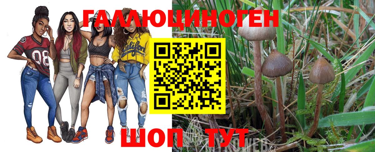 Псилоцибиновые грибы MAGIC MUSHROOMS Канаш