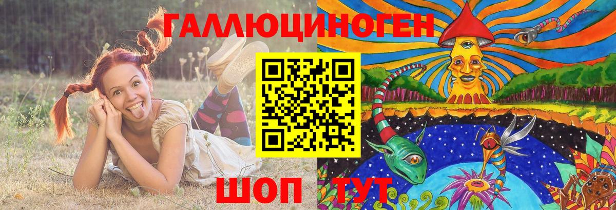 Галлюциногенные грибы GOLDEN TEACHER  Галлюциногенные грибы Psilocybine cubensis  Канаш  Вход с VPN 